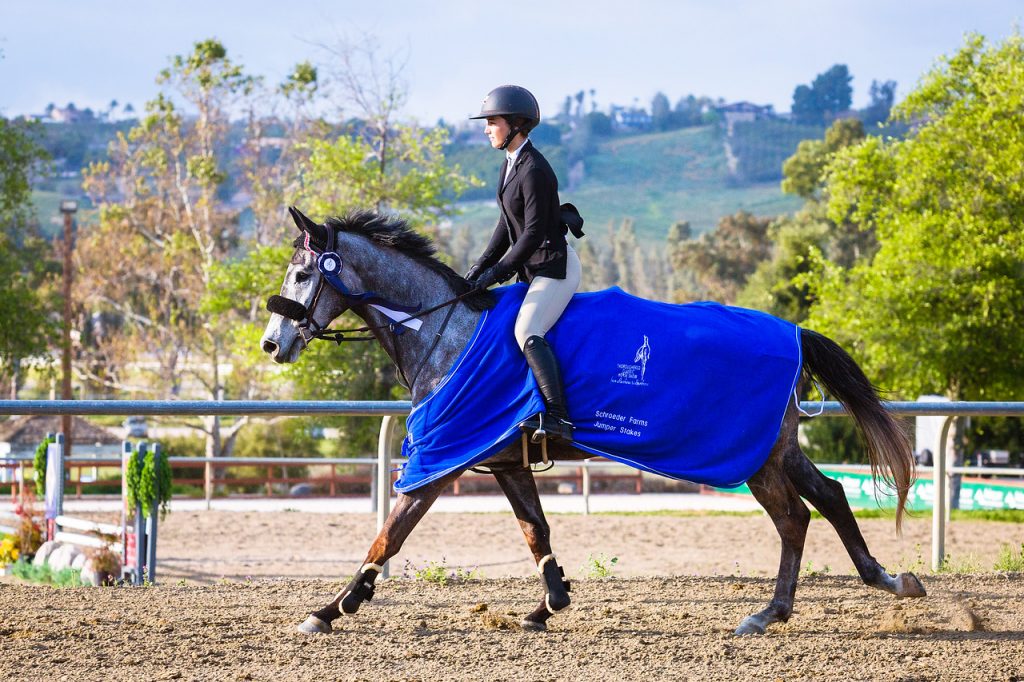 Retired Racehorses Flourish at CARMA’s Thoroughbred Classic Horse Show