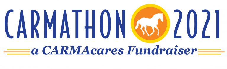 CARMATHON21logo