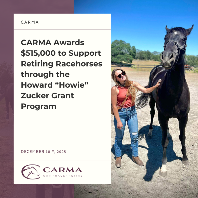 CARMA graduate Itsfourtwentylouie (“Louie”) leaving for his forever home, one of many Thoroughbreds transitioned thanks to CARMA’s grant program.