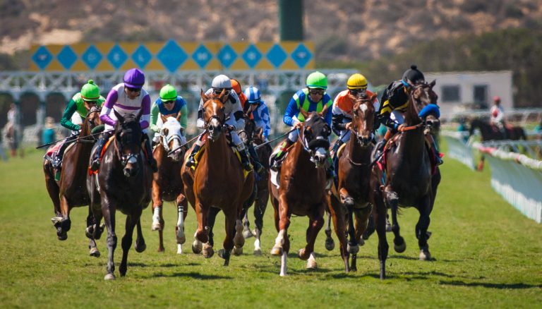 DMTC-TurfCourse-HeadOn (1)