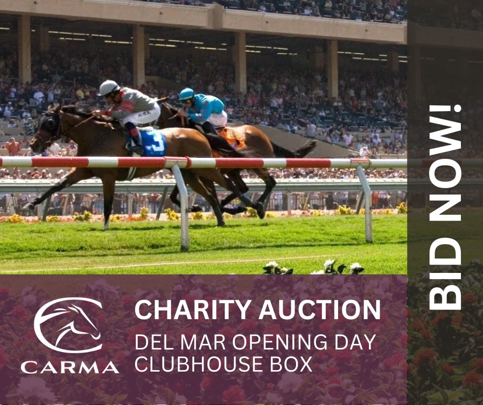 CARMA Charity Auction