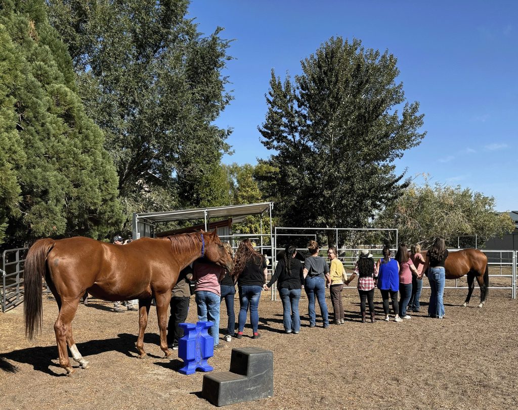 Aftercare Partner Spotlight: Healing Arenas
