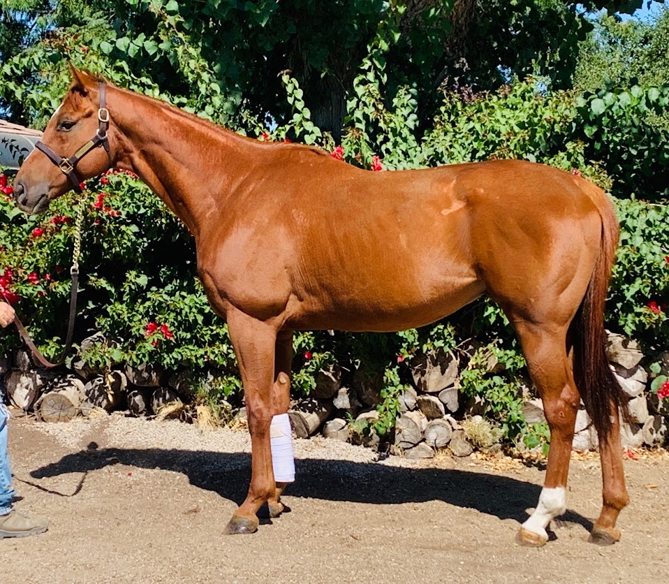 Lucky Whalen – September 2019 3