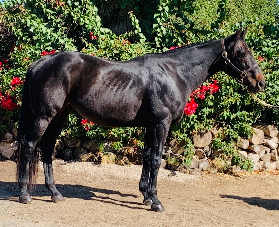 Quick N Dirty – September 2019