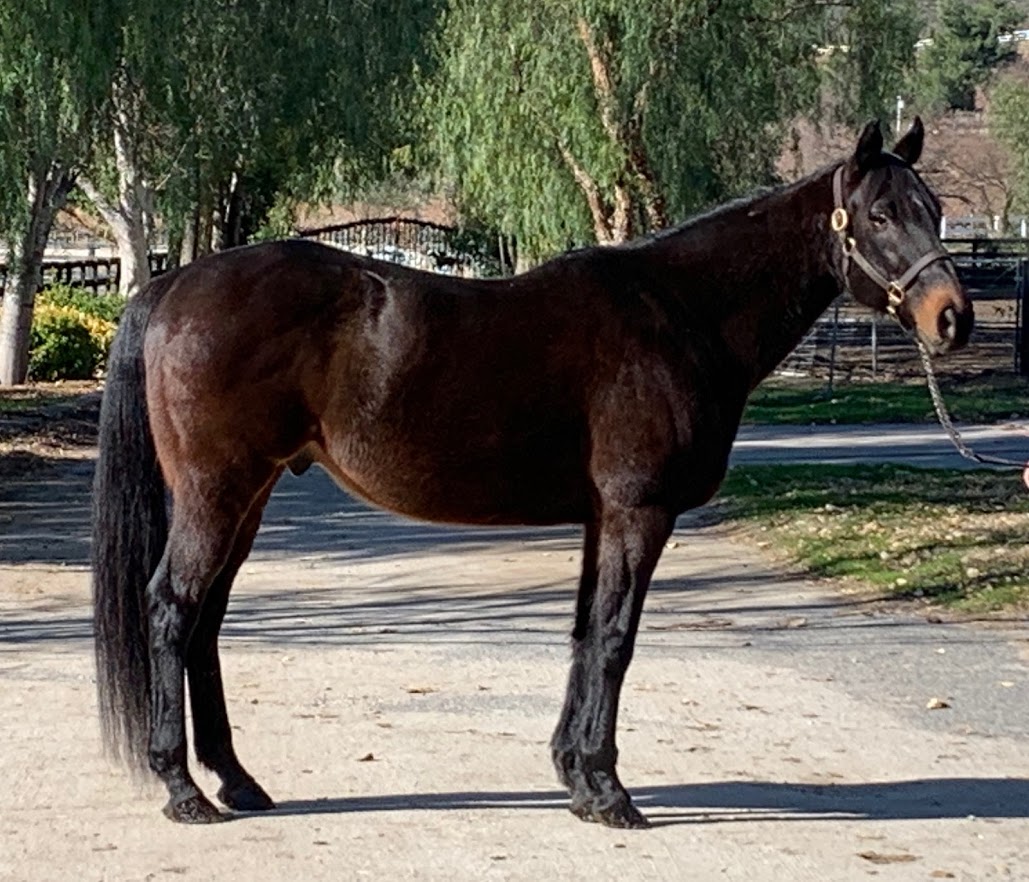 Quick N Dirty – dec 2019