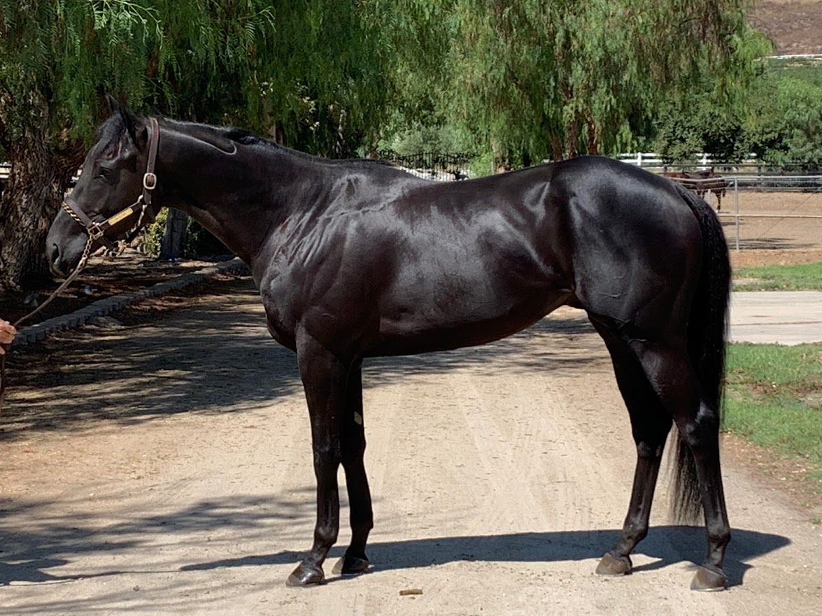 Roger That – August 2019