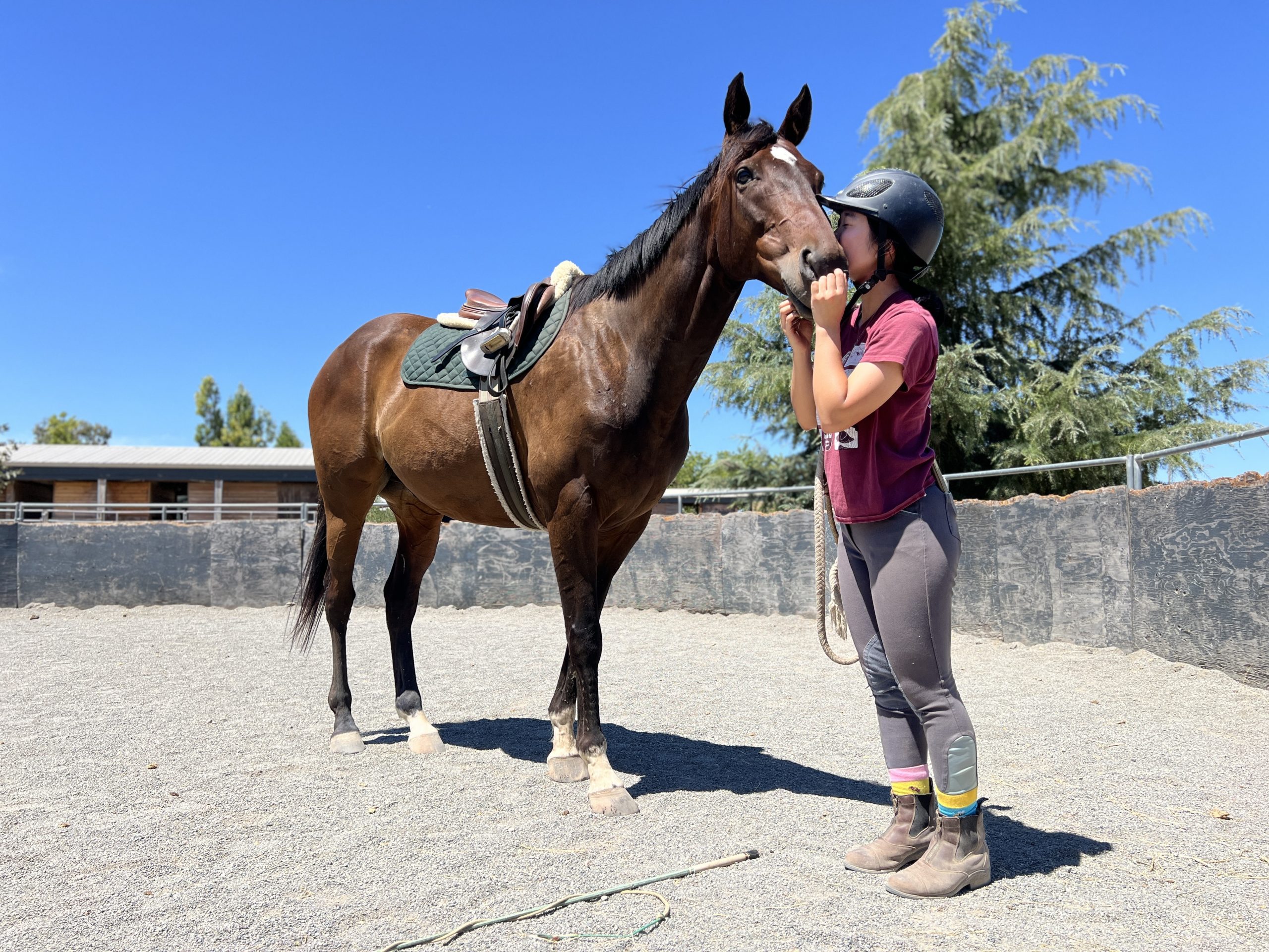 Sleight of Hoof(Charlie) kisses Provided Courtesy of Square Peg Foundation