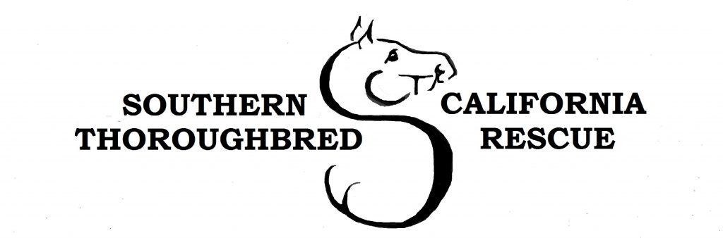 Southern California Thoroughbred Rescue