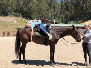 Square Peg therapy horse Mythical Storm showing what rockstars OTTB’s can be in their second careers.