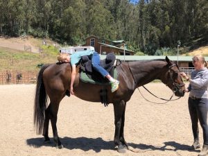 Square Peg therapy horse Mythical Storm showing what rockstars OTTB’s can be in their second careers. 